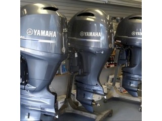 We have used outboards, working perfectly in good conditions.