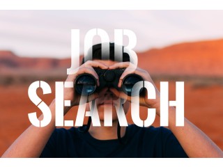 Searching for a real job in New Zealand?