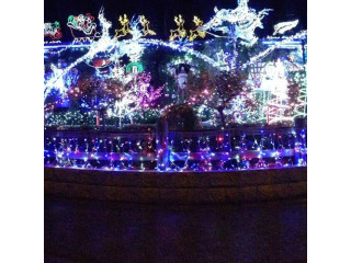 Fairy lights NZ